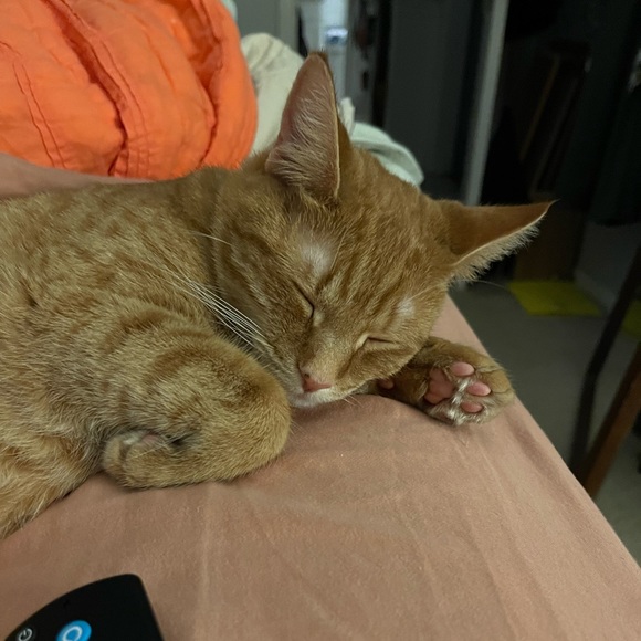 Meet your Posher, Jess - Picture 2 of 16